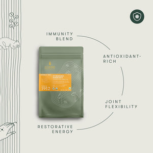 Turmeric Ginger | Turmeric Time-Out | 250 Gm Loose Tea | Organic Herbal Tea